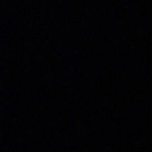 Meet your Posher, Jazmine